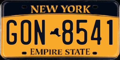 NY license plate GON8541