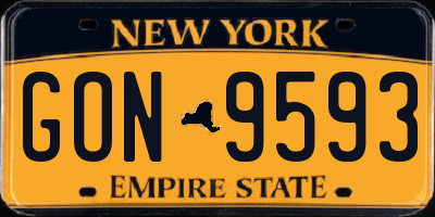 NY license plate GON9593