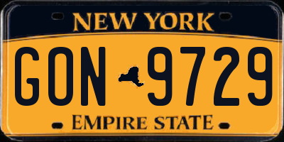 NY license plate GON9729