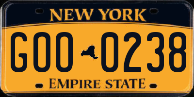 NY license plate GOO0238