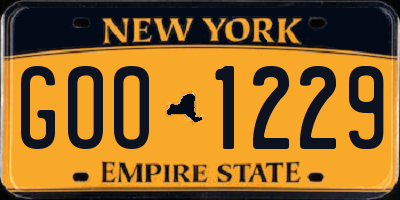 NY license plate GOO1229