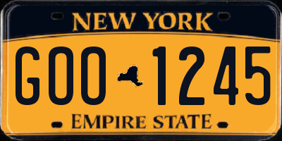 NY license plate GOO1245