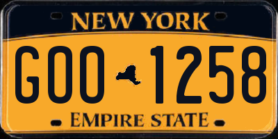 NY license plate GOO1258