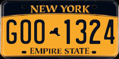 NY license plate GOO1324