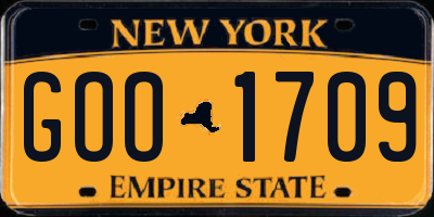 NY license plate GOO1709