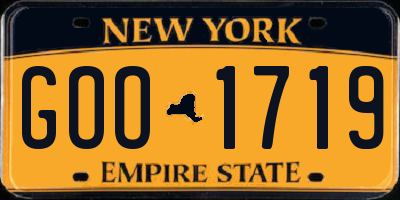 NY license plate GOO1719