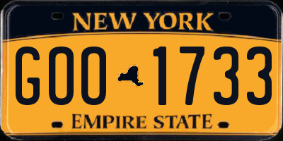 NY license plate GOO1733