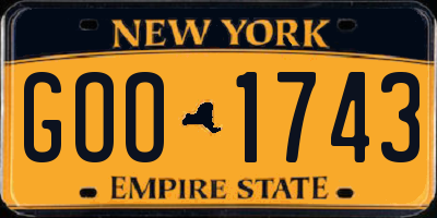 NY license plate GOO1743