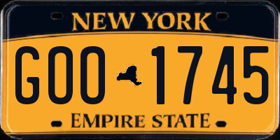 NY license plate GOO1745