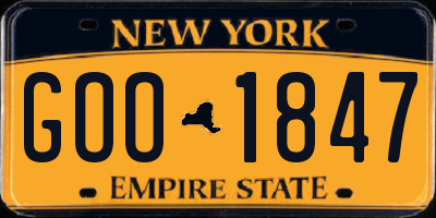 NY license plate GOO1847