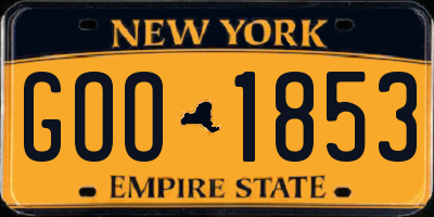 NY license plate GOO1853