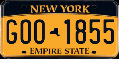NY license plate GOO1855