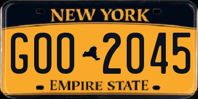 NY license plate GOO2045