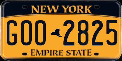NY license plate GOO2825