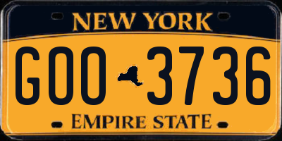 NY license plate GOO3736