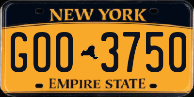 NY license plate GOO3750