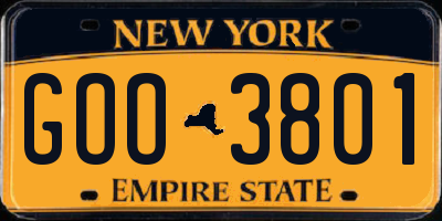 NY license plate GOO3801