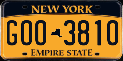 NY license plate GOO3810
