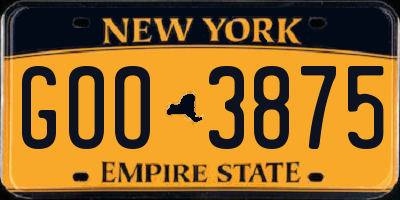 NY license plate GOO3875