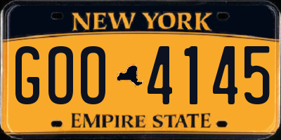 NY license plate GOO4145