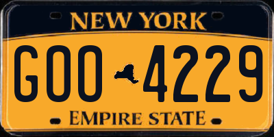 NY license plate GOO4229