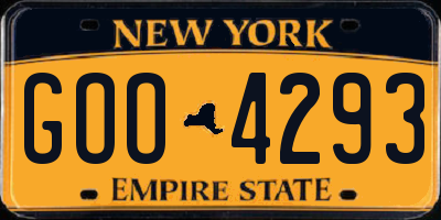 NY license plate GOO4293