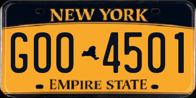 NY license plate GOO4501