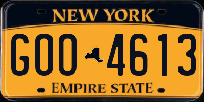 NY license plate GOO4613