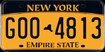 NY license plate GOO4813