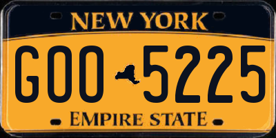 NY license plate GOO5225