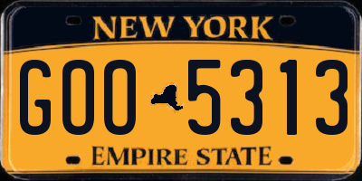 NY license plate GOO5313