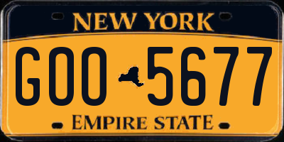 NY license plate GOO5677