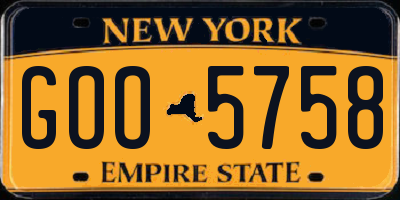 NY license plate GOO5758