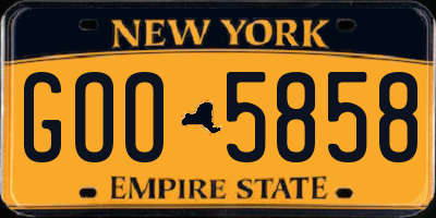 NY license plate GOO5858
