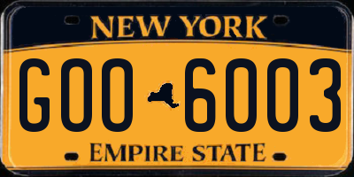NY license plate GOO6003