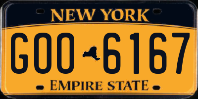 NY license plate GOO6167