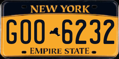 NY license plate GOO6232