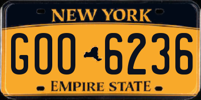 NY license plate GOO6236
