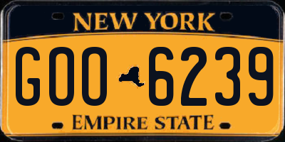 NY license plate GOO6239