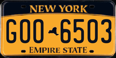 NY license plate GOO6503
