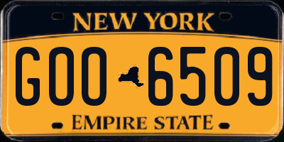 NY license plate GOO6509