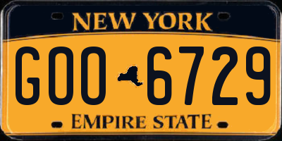 NY license plate GOO6729