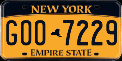 NY license plate GOO7229