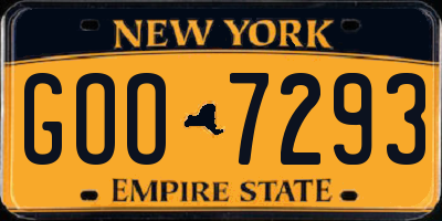 NY license plate GOO7293