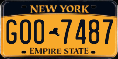 NY license plate GOO7487
