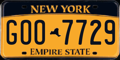 NY license plate GOO7729