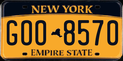 NY license plate GOO8570