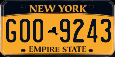 NY license plate GOO9243