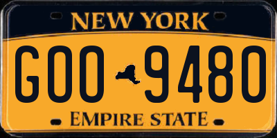 NY license plate GOO9480