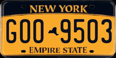 NY license plate GOO9503